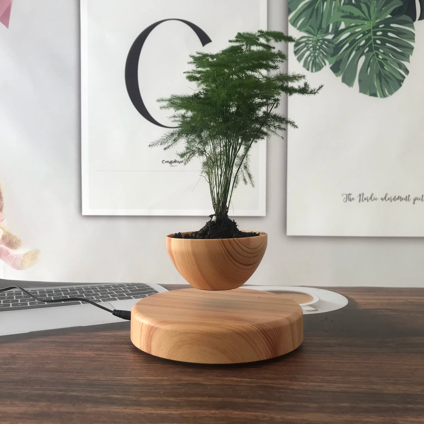 Round Base Floating Plant Pot